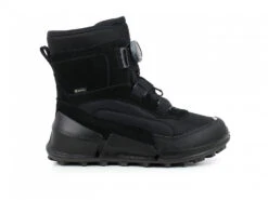 ECCO Biom K2 Gore-Tex