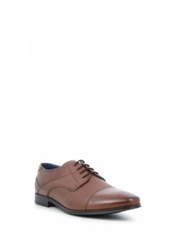 Apex Biagio Suit Leather Brn -ECCO Shop 36659 03